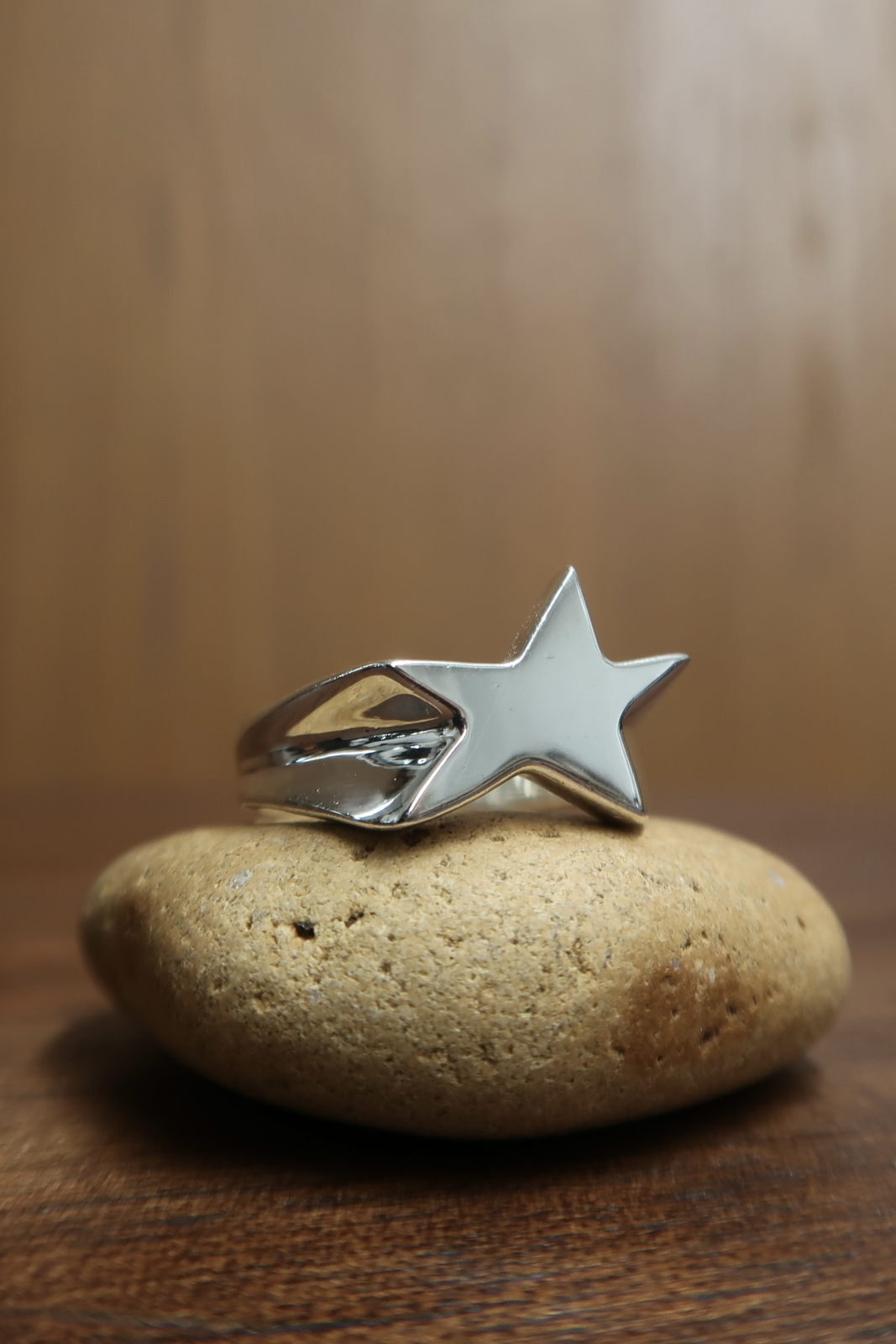 ring-13